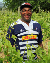 Quenton Daniels Lynx wines Franschhoek South Africa wine winery